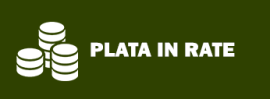 plata-in-rate-mare2-270x99-1