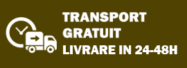 transport2-1